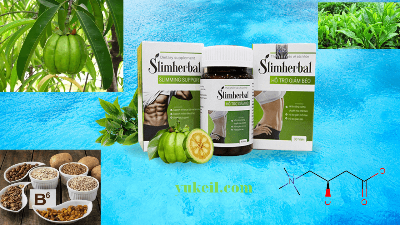 REVIEW-Slimherbal-có-tốt-không-Mua-ở-đâu-Giá-bao-nhiêu-8