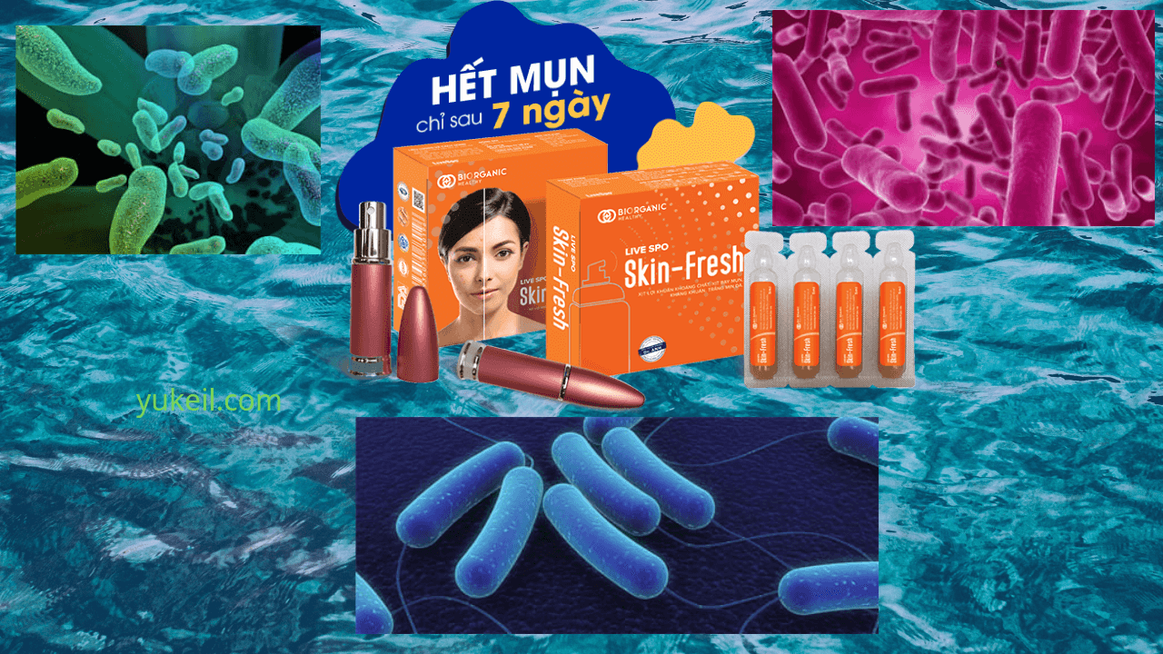 Skin-fresh-có-tốt-không-Mua-ở-đâu-Giá-bao-nhiêu-12