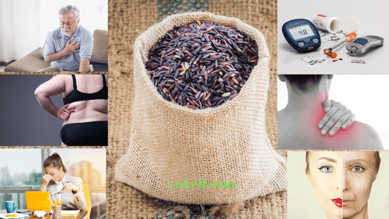 Sử dụng gạo lứt giảm cân xu hướng cho 2020 14 công-dụng-của-gạo-lứt