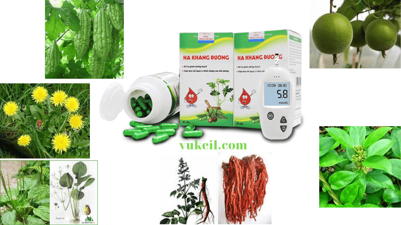 dot-pha-ha-khang-duong-co-tot-khong-mua-o-dau-gia-bao-nhieu-12