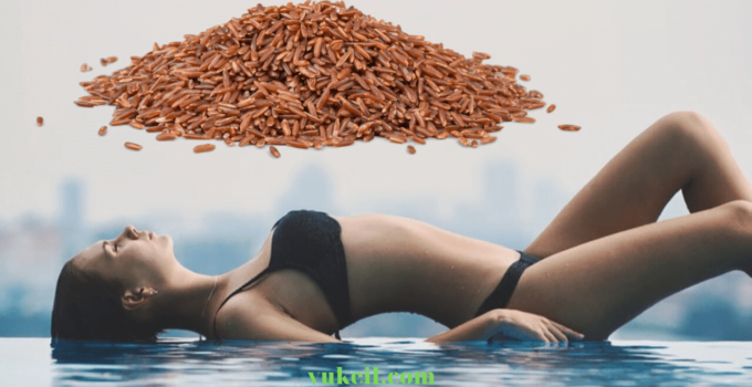 gạo-lứt-giảm-cân