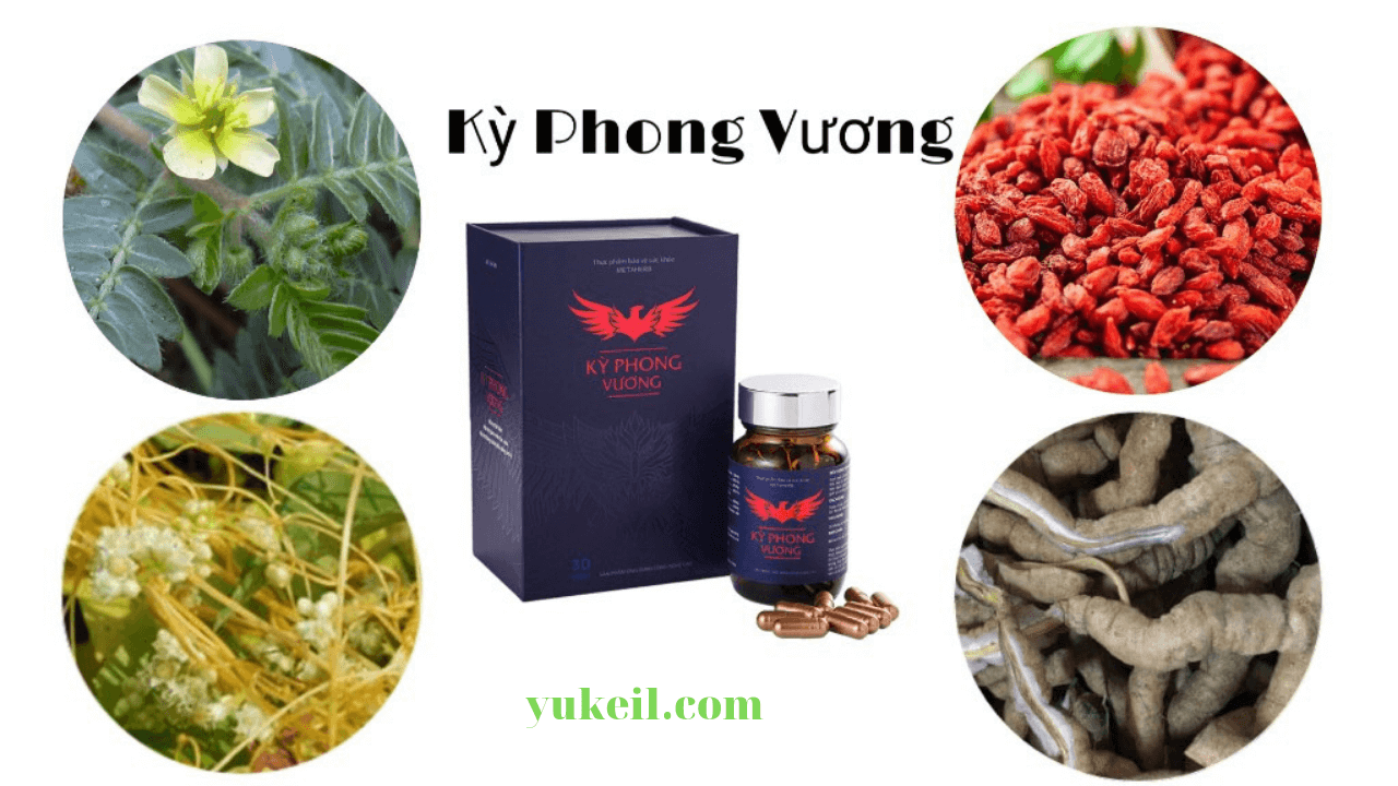 he-lo-ky-phong-vuong-co-tot-khong-mua-o-dau-gia-bao-nhieu-10
