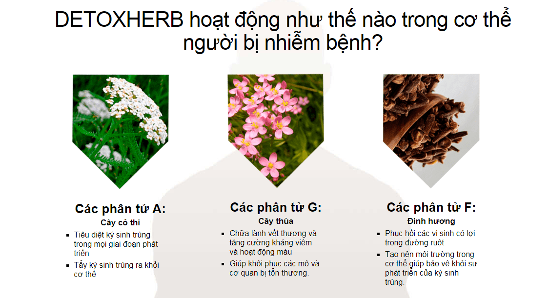 rat-nguy-hiem-detoxherb-co-tot-khong-mua-o-dau-gia-bao-nhieu-6