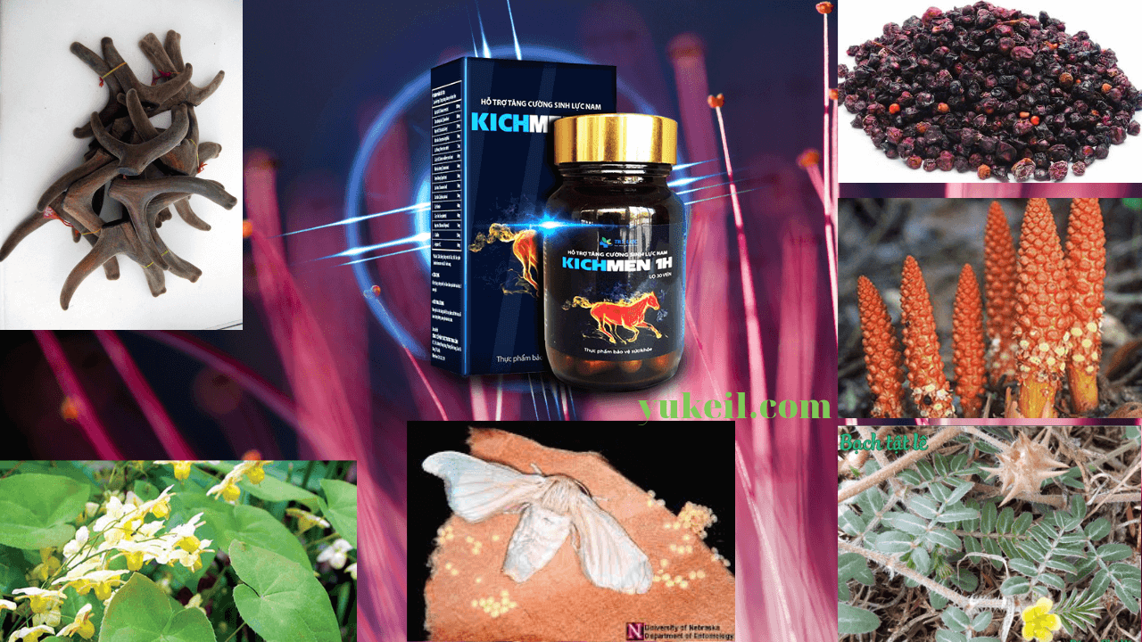tiet-lo-kichmen-1h-co-tot-khong-mua-o-dau-gia-bao-nhieu-5