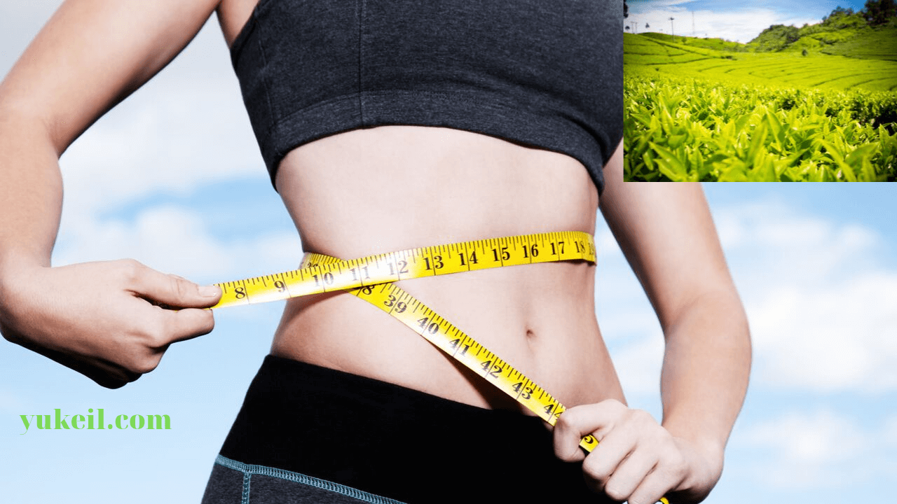 Giảm cân bằng trà xanh xu hướng mới nhất 2019-2020 24 uống-trà-xanh-có-giảm-cân-được-không