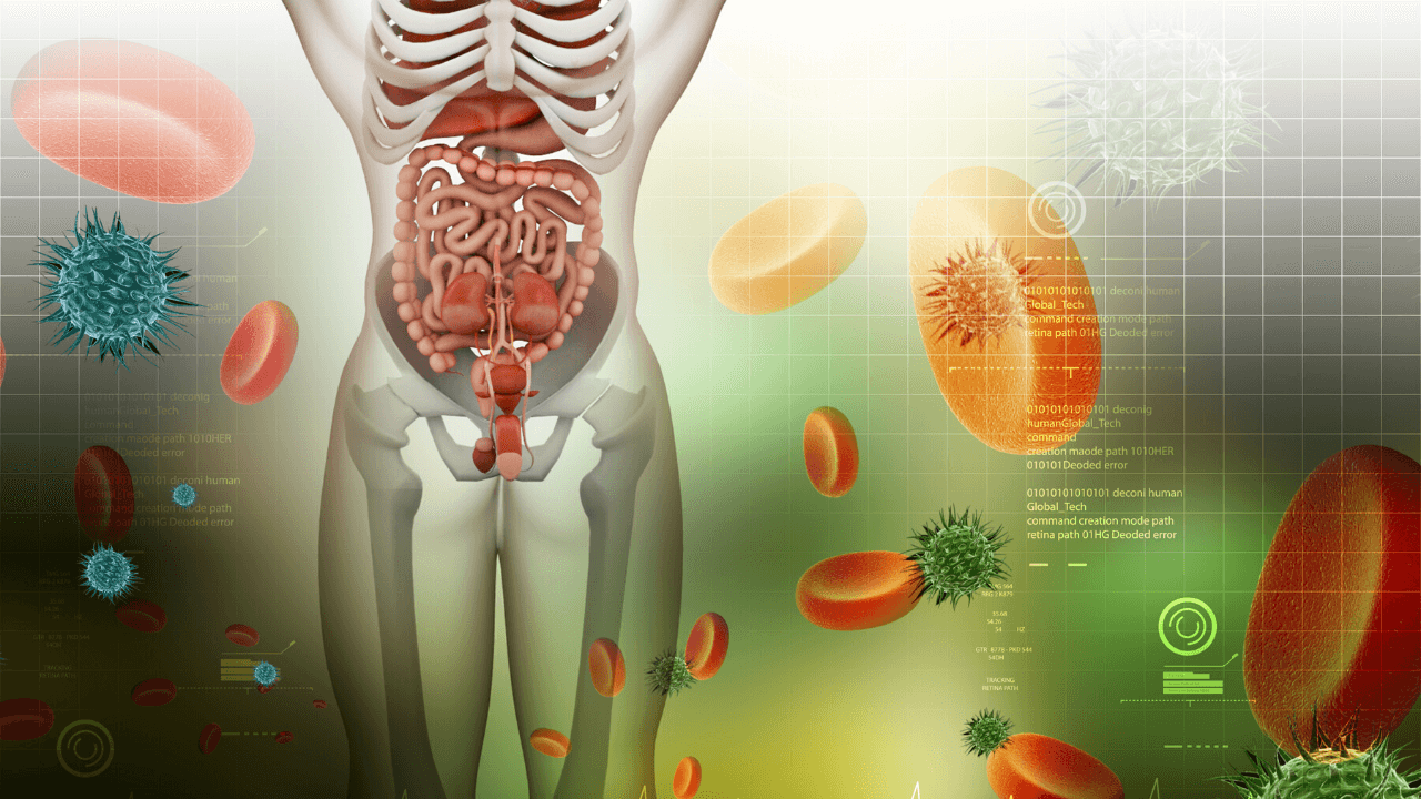 Hướng dẫn cách ăn chuối để giảm cân hiệu quả 36 chuối giúp cải thiện hệ tiêu hóa