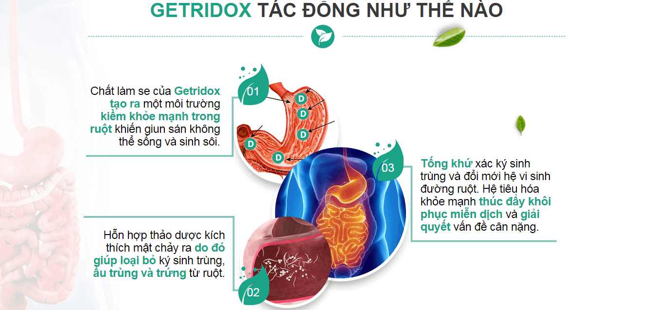 cơ-chế-hoạt-động-của-getridox