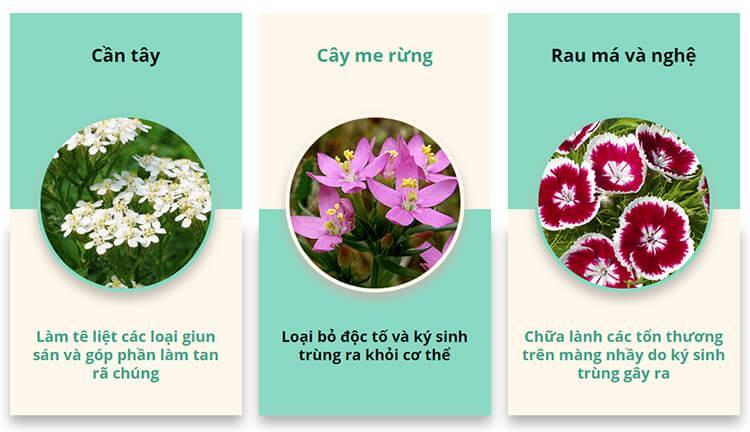thành-phần-getridox