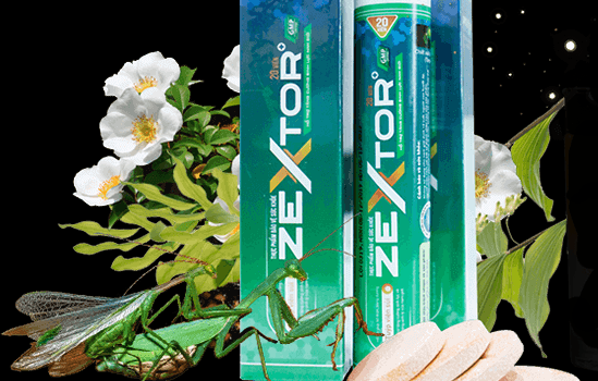 Thực hư zextor có lừa đảo không Mua ở đâu chính hãng
