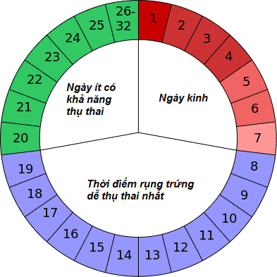 biểu đồ tính ngày quan hệ oan toàn